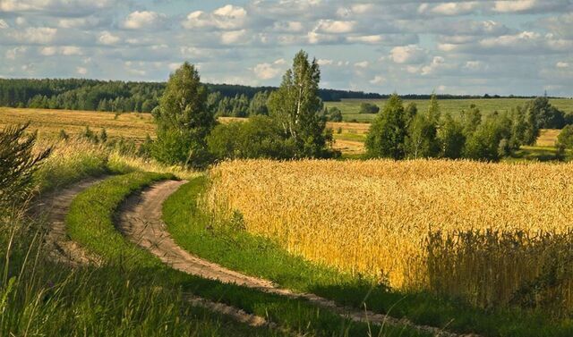 Екимовичское сельское поселение, Десногорск фото