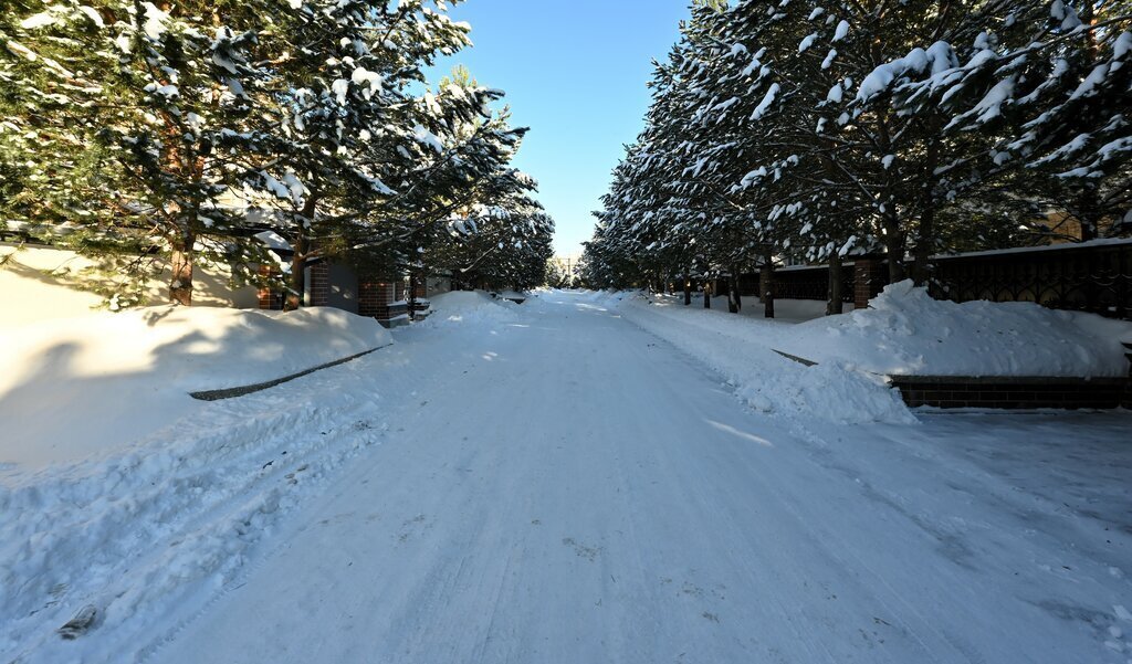 дом Лесной Городок, коттеджный посёлок Азарово Южное, Новогодняя улица, деревня Семёнково фото 12