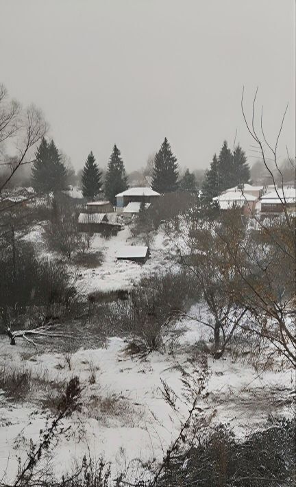 земля р-н Богородский д Килелей ул. Карла Маркса, 11 фото 1