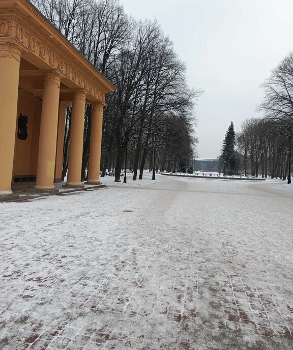 квартира г Санкт-Петербург метро Электросила ул Варшавская 21 фото 1