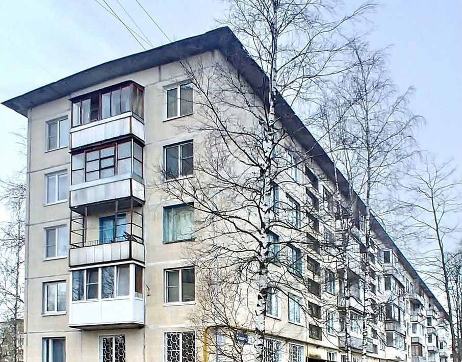 квартира г Сосновый Бор ул Молодежная 3 фото 17