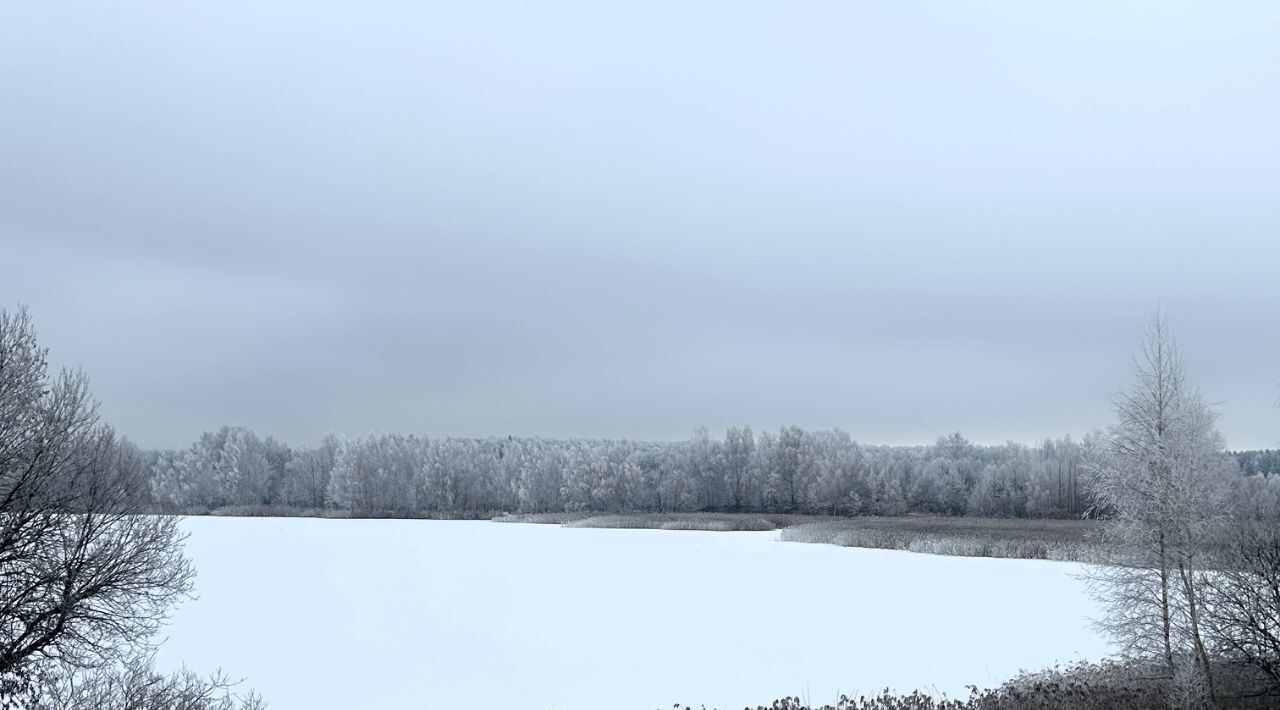 дом р-н Ярославский д Климовское фото 18