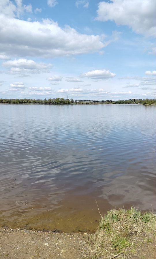 земля городской округ Волоколамский д Бражниково 94 км, Волоколамск, Новорижское шоссе фото 10