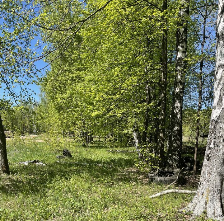 земля г Балашиха Абрамцево кв-л, Щёлковская фото 2