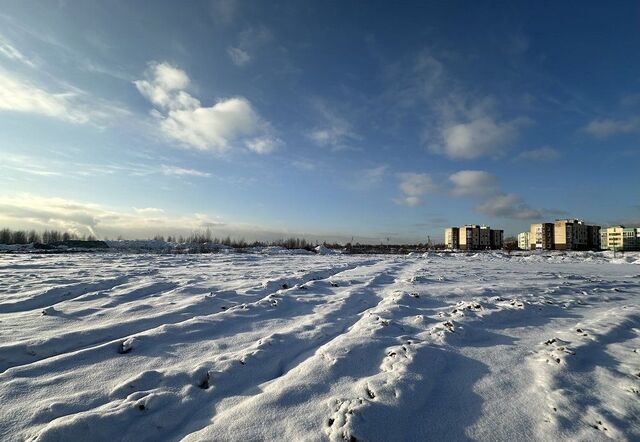 д Аро Мурманское шоссе, 6 км, Колтушское городское поселение, Старая фото