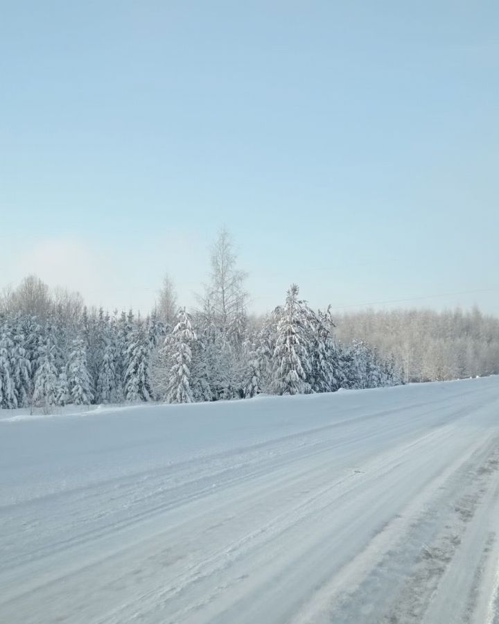 земля г Добрянка пос. станции Пальники, Радужный пер, Пермь фото 11