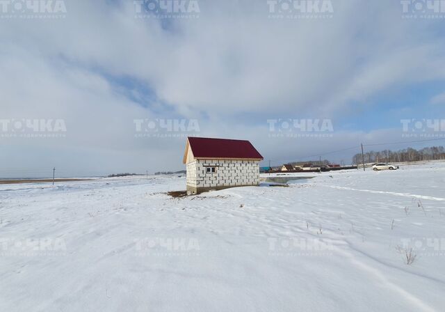 дом с Пустозерово Травниковское сельское поселение, Чебаркуль фото