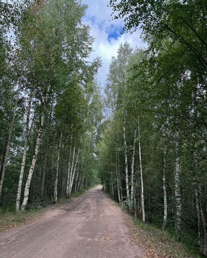 земля р-н Всеволожский п Рахья Дорога жизни, 18 км, Рахьинское городское поселение, коттеджный пос. Константиновка, 71 фото 17