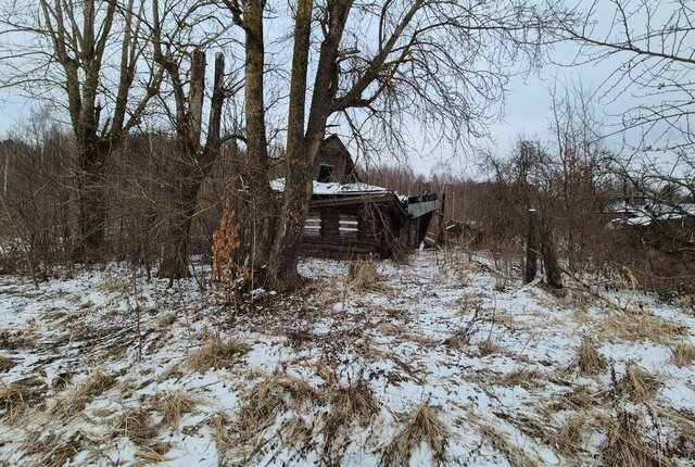 земля ш Ленинское фото