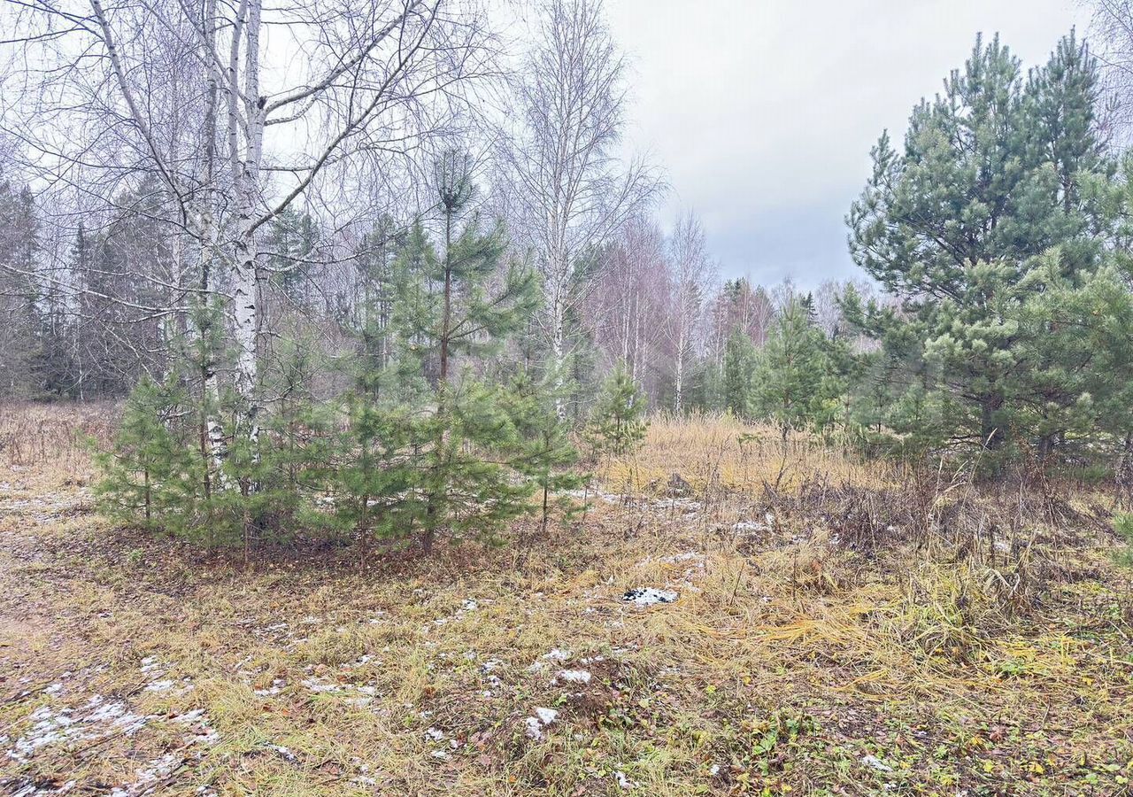 земля городской округ Одинцовский д Новошихово 39 км, АОЗТ Союз-Энергия, Звенигород, Минское шоссе фото 4