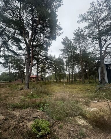 ш Приморское 74 Большеижорское городское поселение, городской пос. Большая Ижора фото