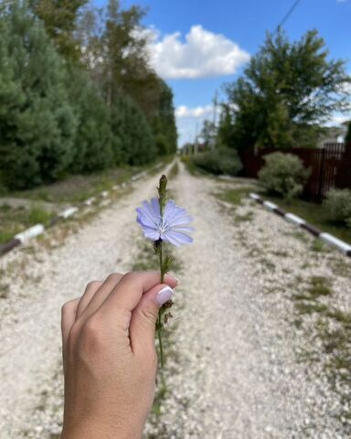 д Коптево ул Луговая 3 г Тула, р-н Привокзальный фото