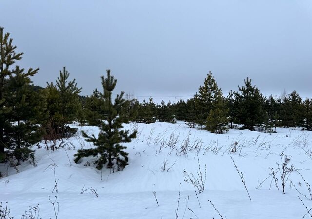 земля д Старые Кены ул Воткинская 3 Ижевск фото