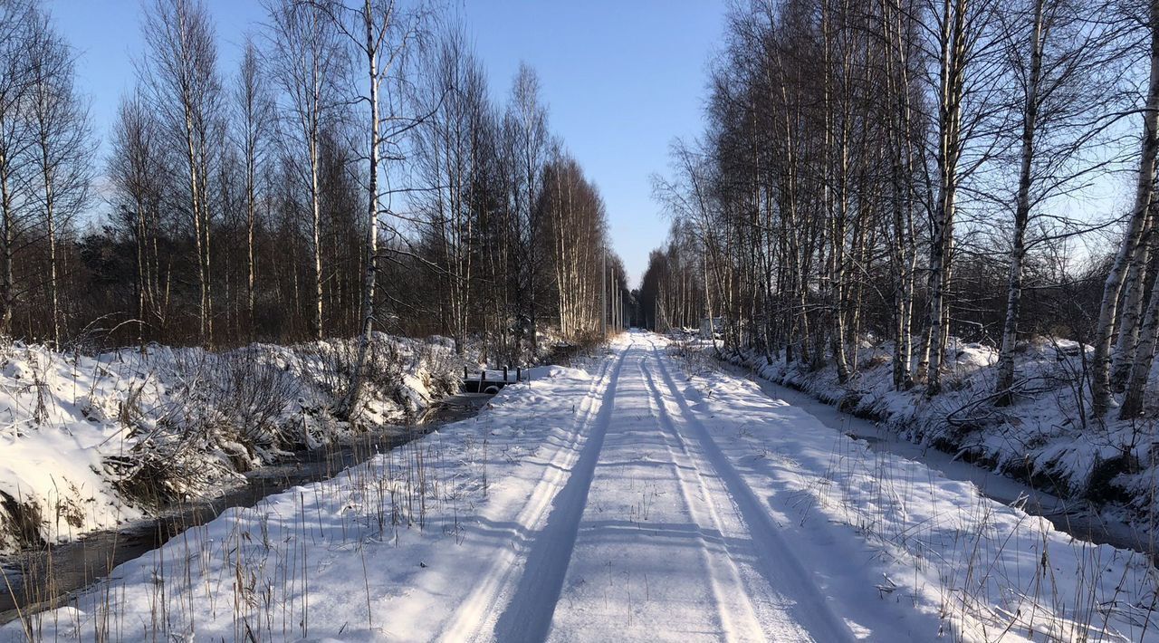 земля р-н Всеволожский снт Поляна ул Сосновая 12 Колтушское городское поселение фото 1