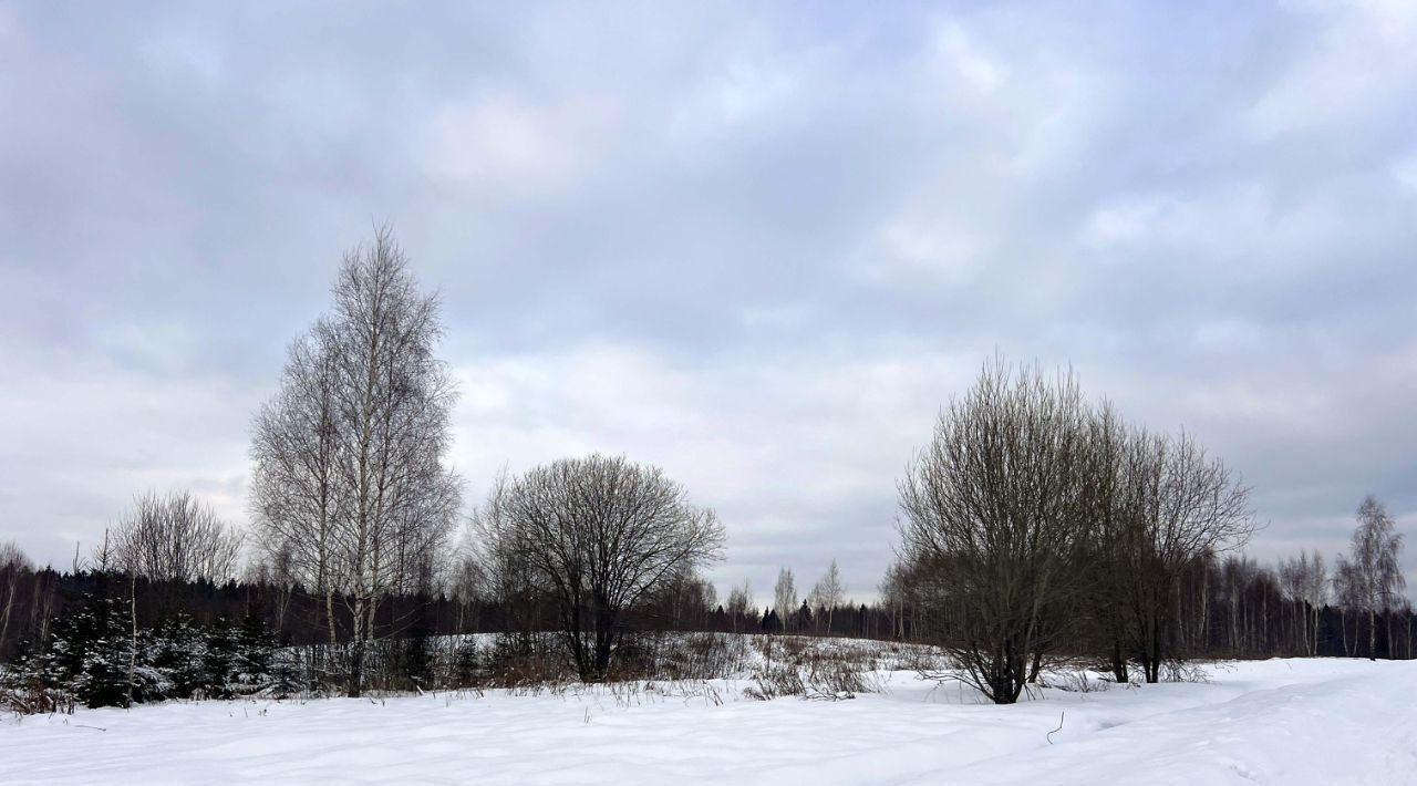 земля городской округ Дмитровский д Сбоево 148 фото 3