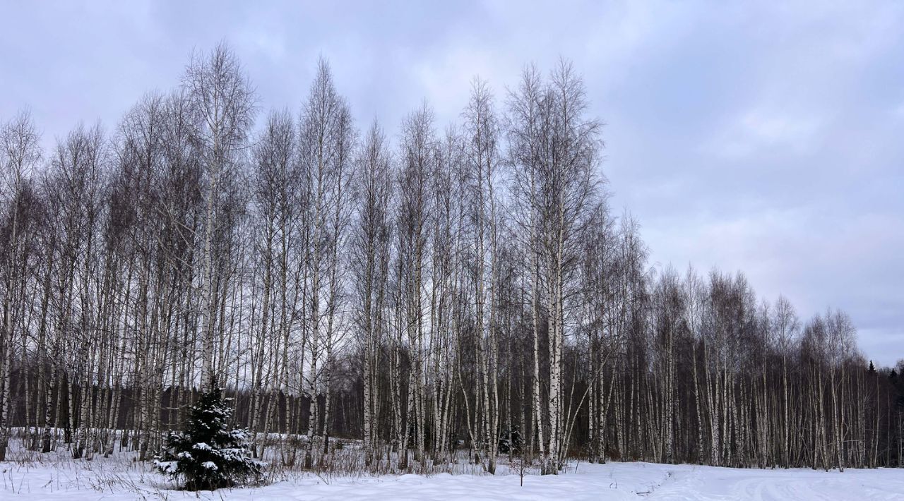 земля городской округ Дмитровский д Сбоево 148 фото 4