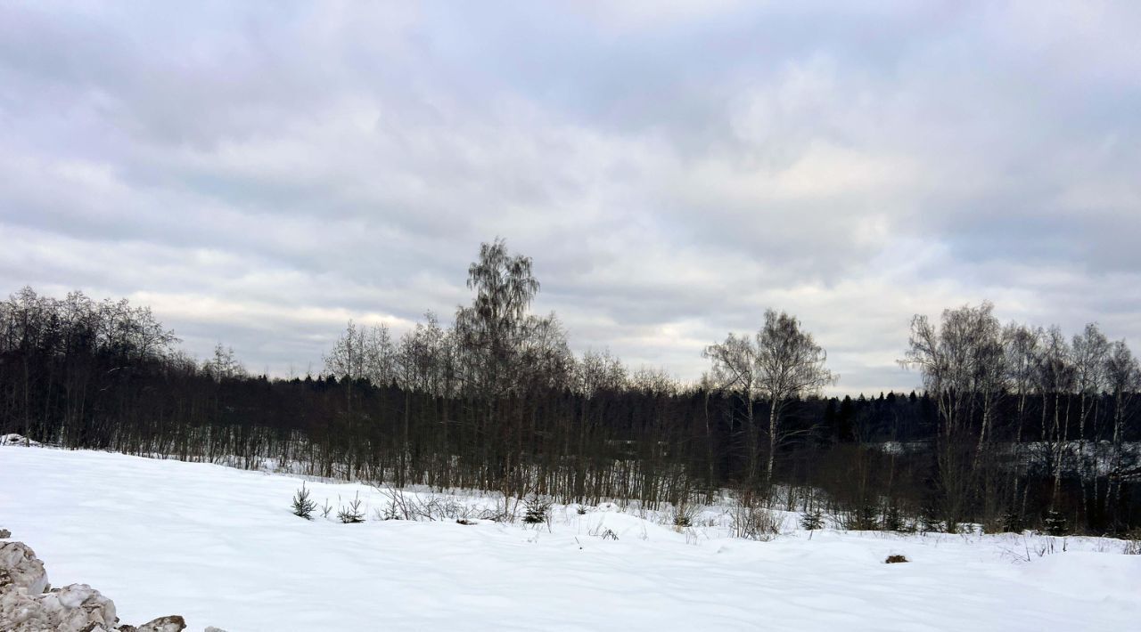 земля городской округ Дмитровский д Ассаурово 360 фото 4