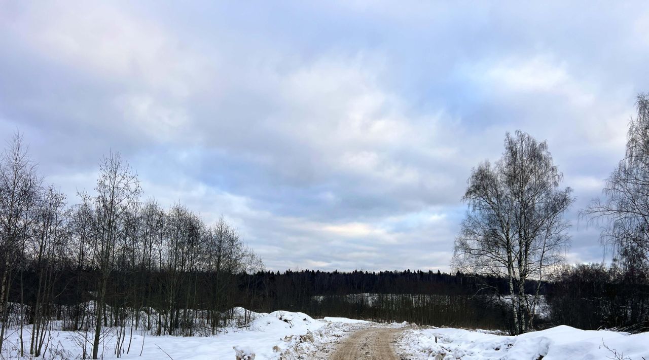 земля городской округ Дмитровский д Ассаурово 360 фото 2