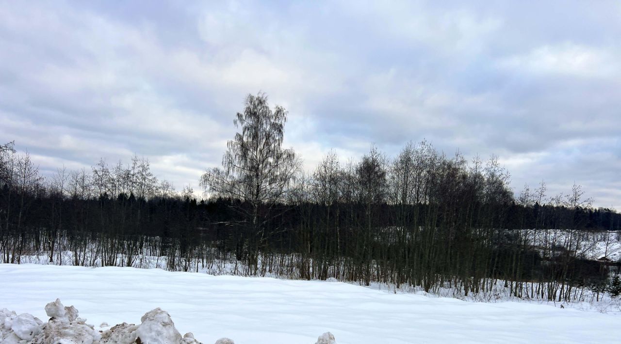 земля городской округ Дмитровский д Ассаурово 360 фото 3