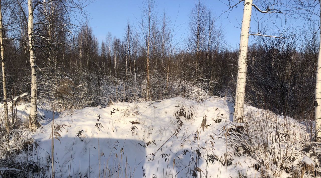 земля р-н Всеволожский снт Поляна ул Сосновая 12 Колтушское городское поселение фото 2