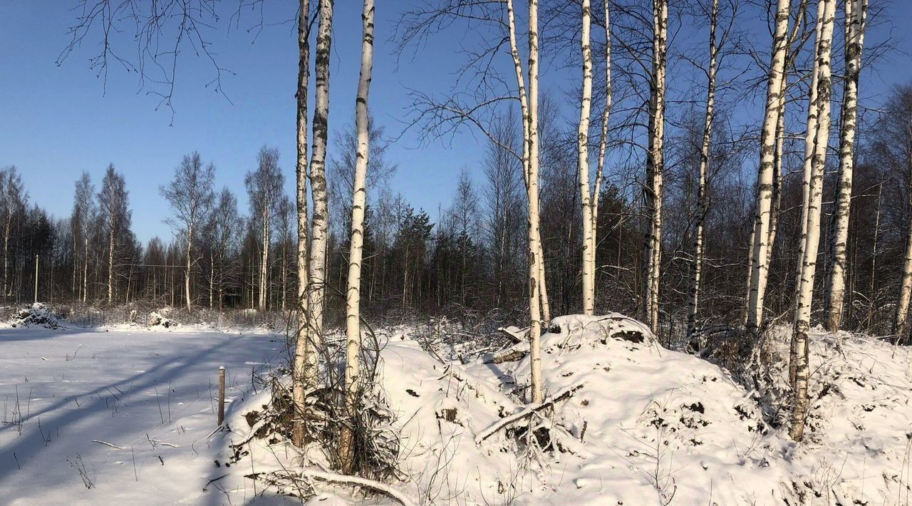 земля р-н Всеволожский снт Поляна ул Изумительная 42 Колтушское городское поселение фото 3