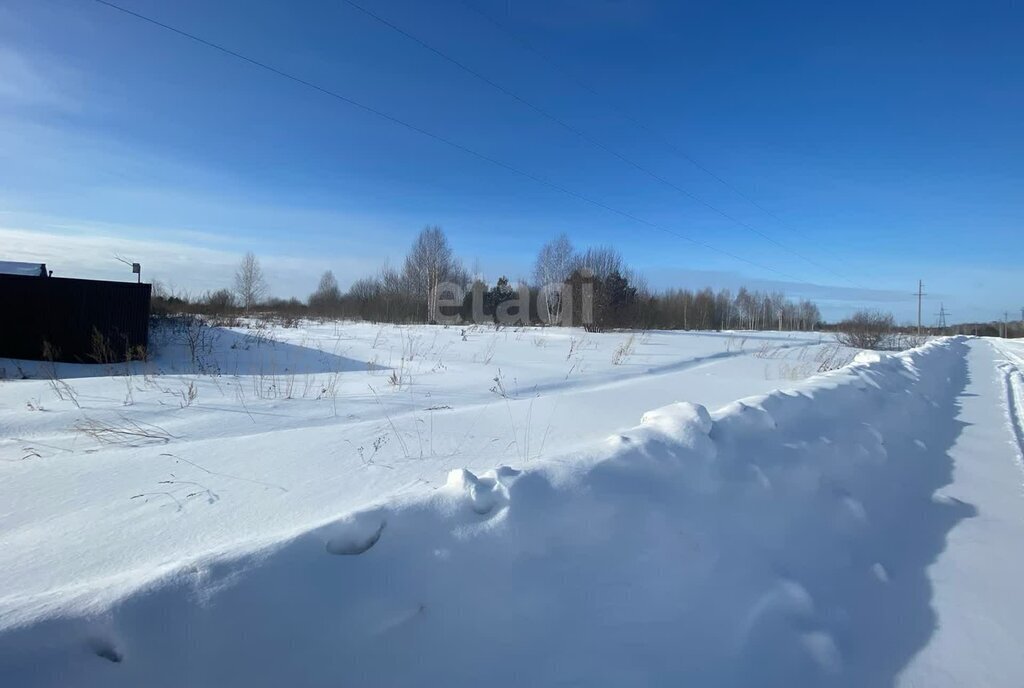 земля р-н Томский д Петрово ул Северная фото 2