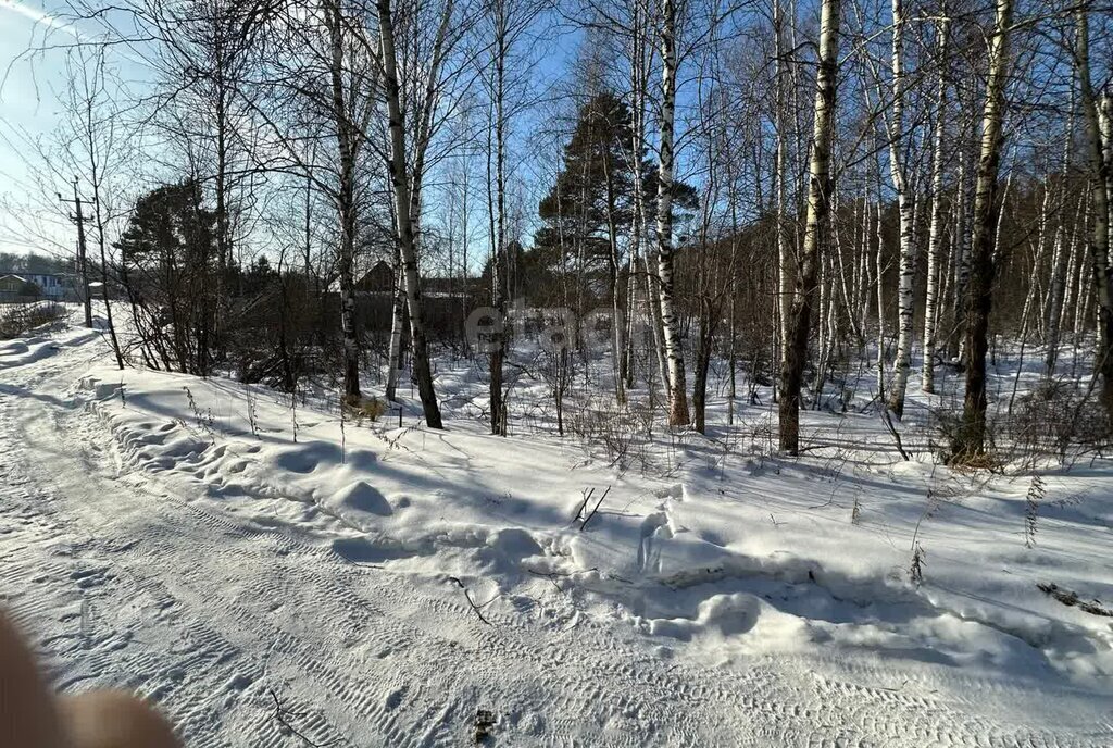 земля р-н Томский п Кайдаловка Зоркальцевское сельское поселение фото 4