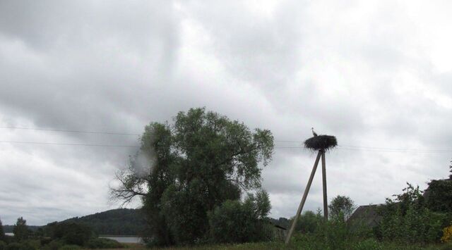 р-н Дедовичский д Городно 10, Пожеревицкая волость фото