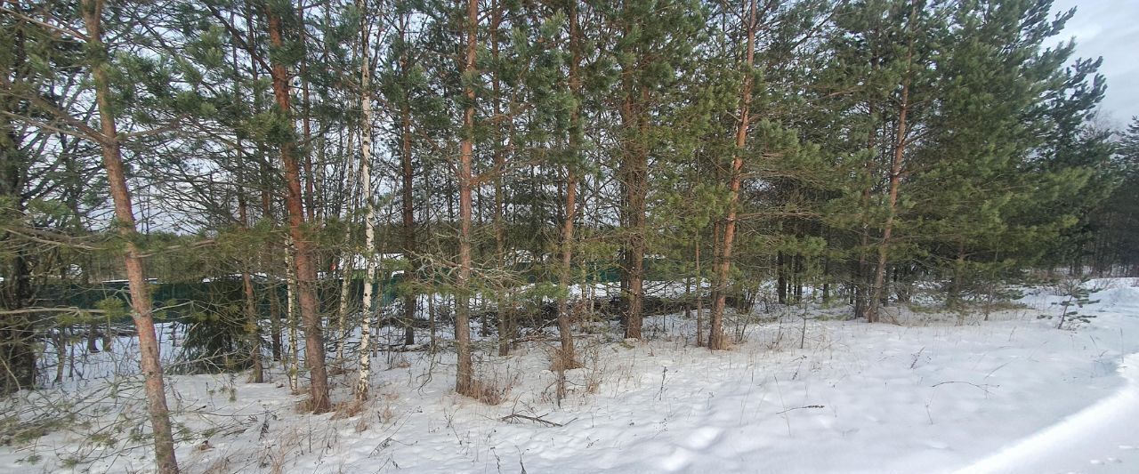 земля р-н Бологовский снт Новая жизнь-2 фото 3