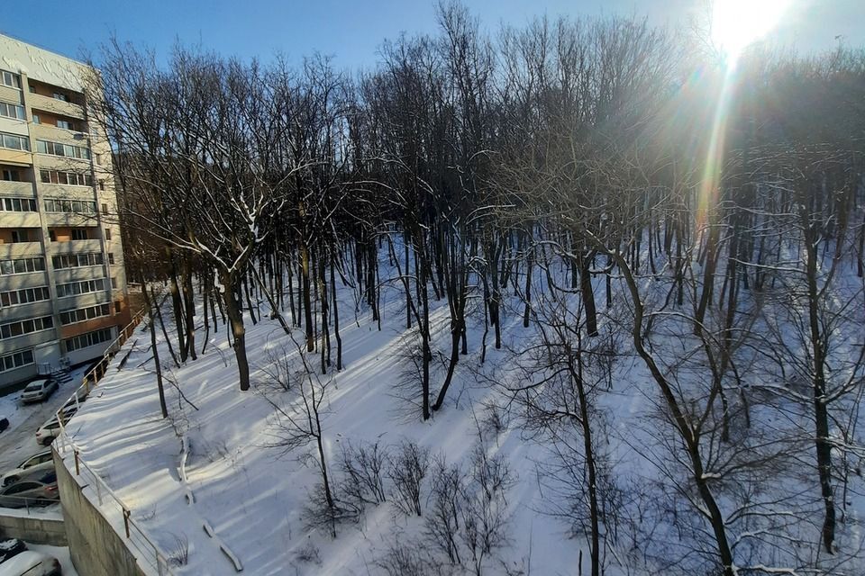 квартира г Саратов ул Лесная 11д Саратов городской округ, республика фото 1