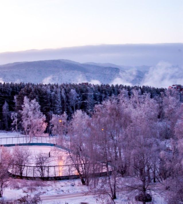 квартира г Красноярск р-н Октябрьский ул Академгородок 19 фото 14