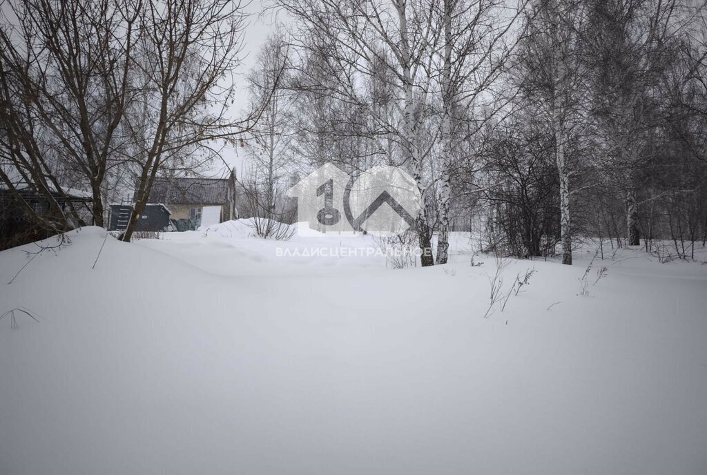 земля г Новосибирск р-н Октябрьский Золотая Нива фото 2