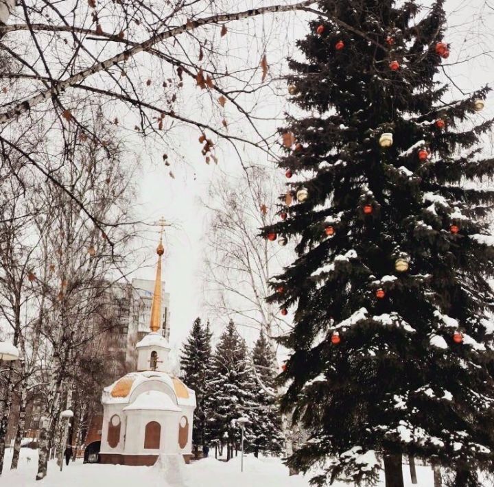 квартира г Новокузнецк р-н Центральный ул Тольятти 21 фото 1