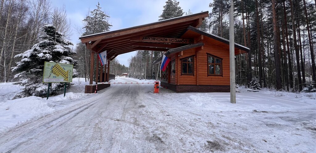 земля Сертоловское городское поселение, коттеджный посёлок Дворянская усадьба, 84 фото 1