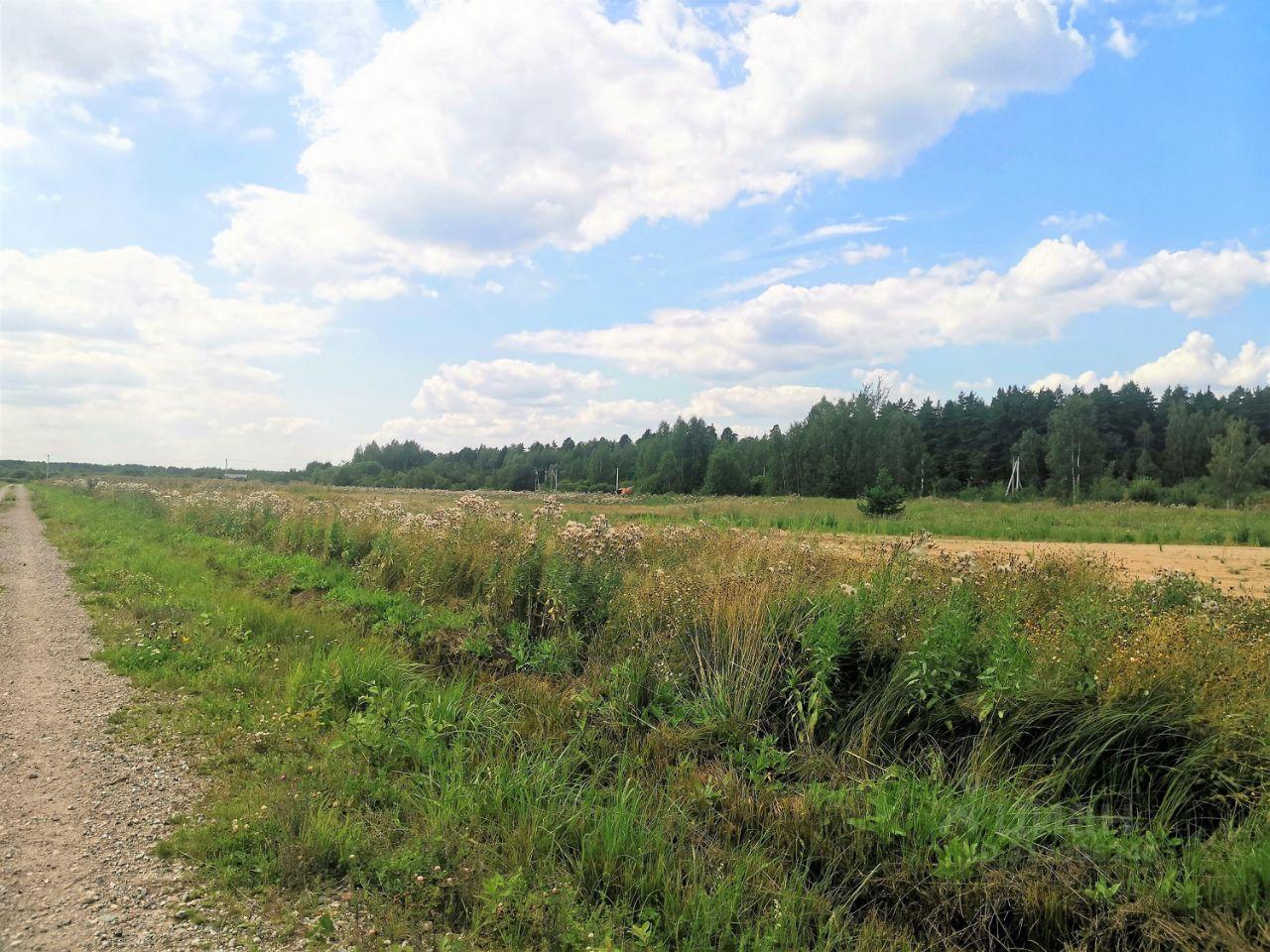 земля городской округ Богородский г Ногинск фото 3