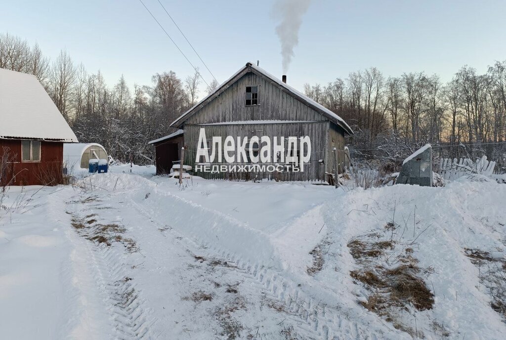 дом Ромашкинское сельское поселение, Деревня, Приозерский район, посёлок Новая фото 2