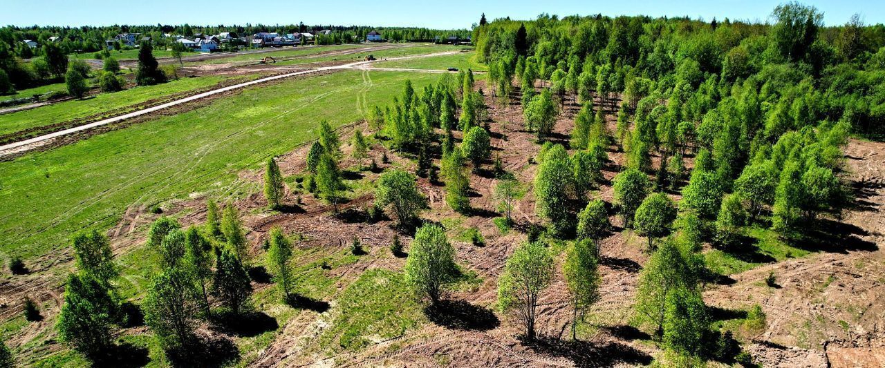 земля городской округ Дмитровский д Глазово Лобня фото 2