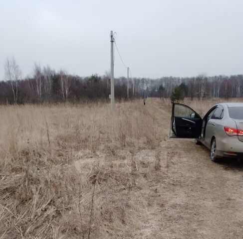 г Жуков снт Стрелковка фото