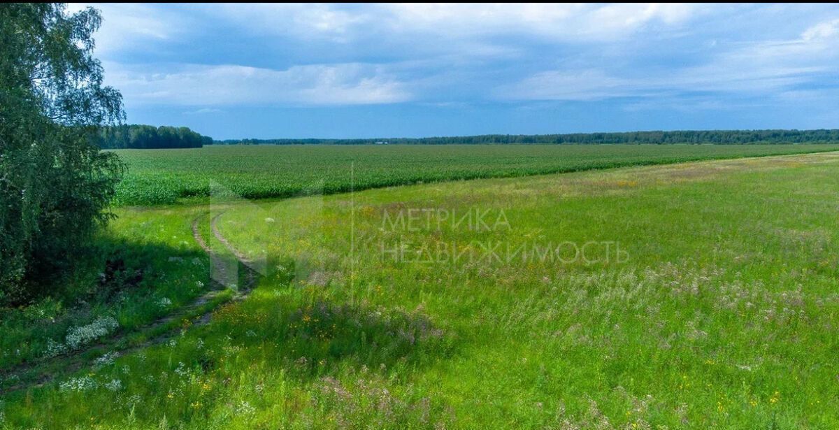 земля р-н Тюменский с Кулига Тюмень фото 1