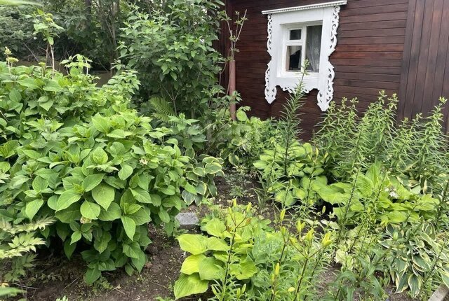 снт Горизонт Аметьево, Столбищенское сельское поселение, Лаишевский район фото