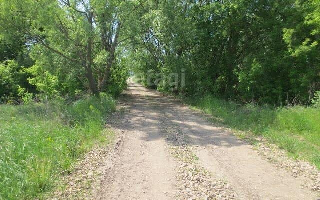 земля р-н Тукаевский д Малая Шильна ул Татарстан фото 2