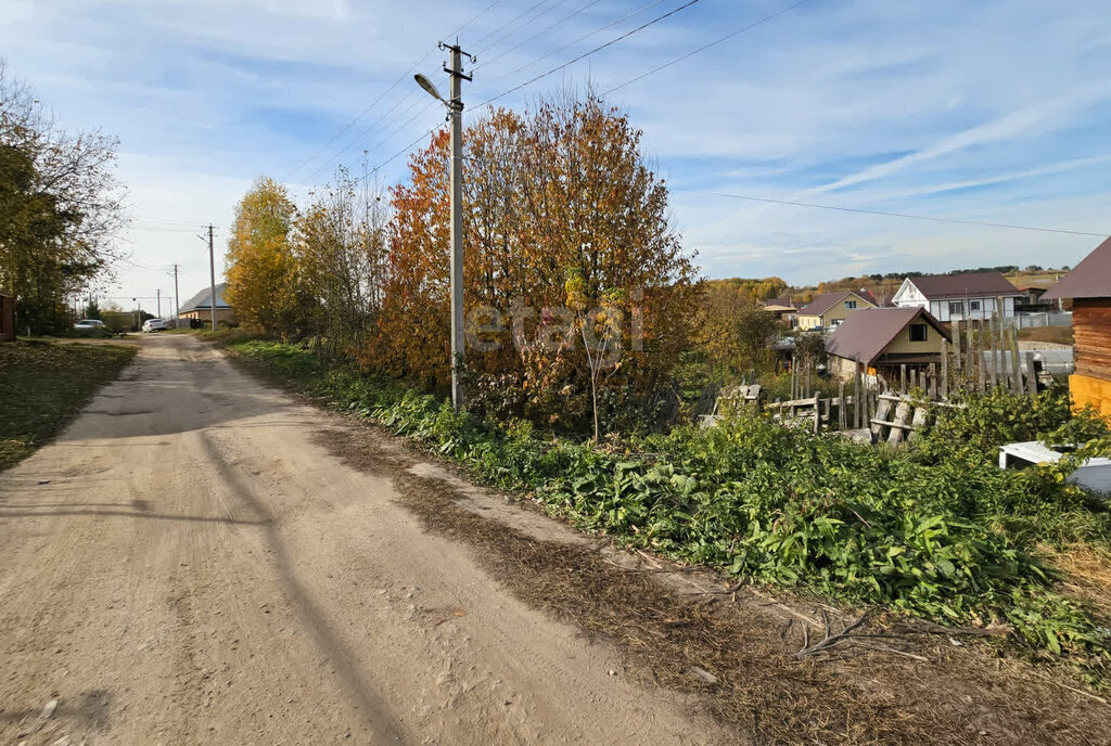 земля р-н Елабужский с Танайка ул Восточная фото 18