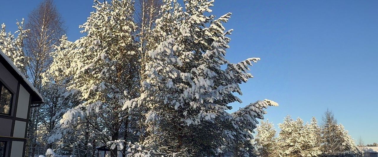 дом р-н Всеволожский Рахьинское городское поселение, Лесная усадьба кп фото 9