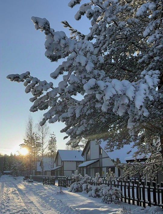 дом р-н Всеволожский Рахьинское городское поселение, Лесная усадьба кп фото 15