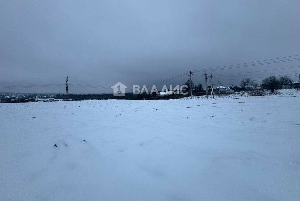 земля городской округ Наро-Фоминский д Елагино фото 6