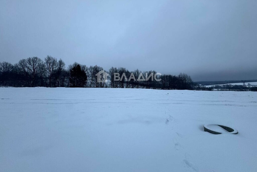 земля городской округ Наро-Фоминский д Елагино фото 12