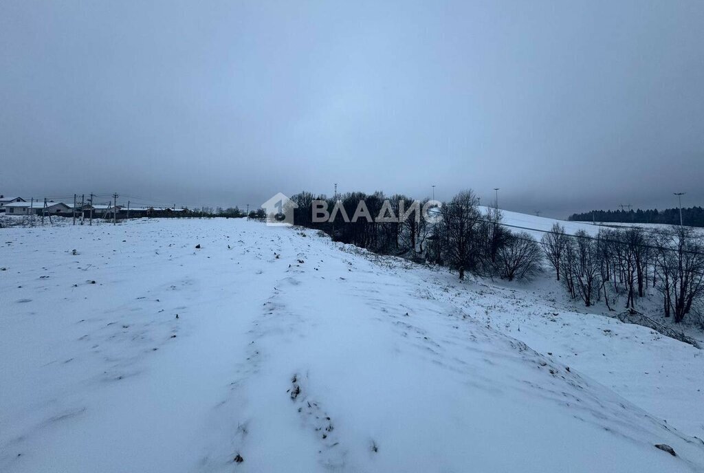 земля городской округ Наро-Фоминский д Елагино фото 21