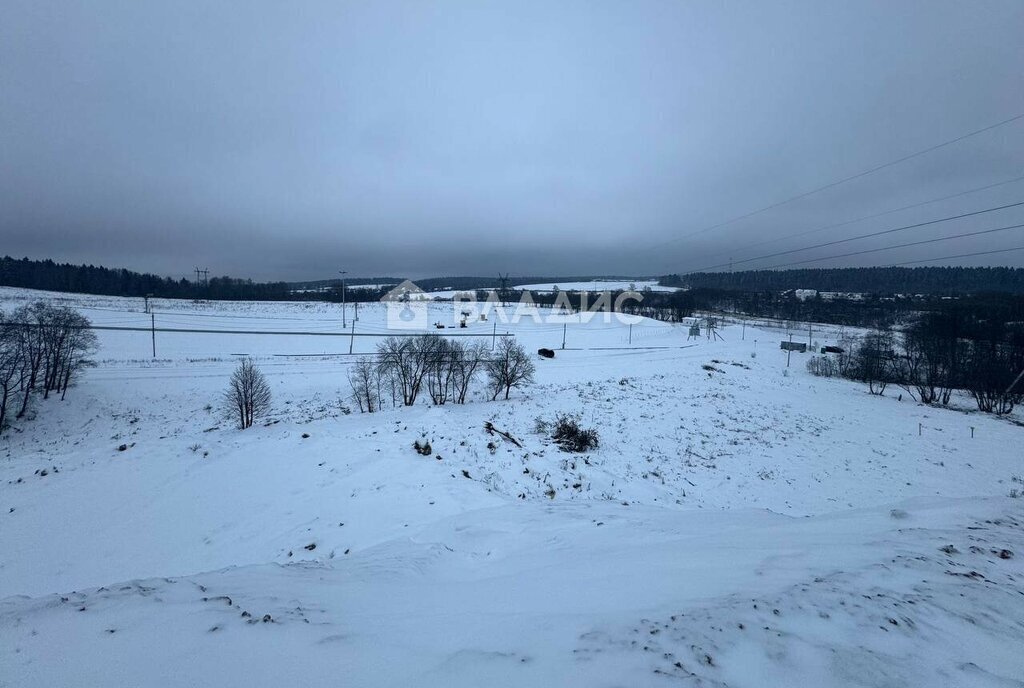 земля городской округ Наро-Фоминский д Елагино фото 26