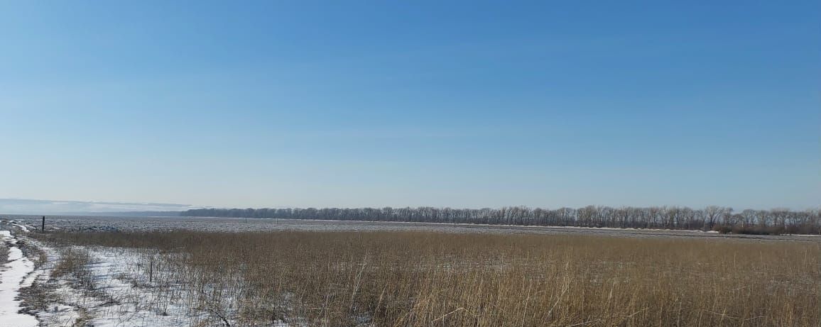 земля р-н Прикубанский с Пригородное ул Магомедова Черкесск фото 3