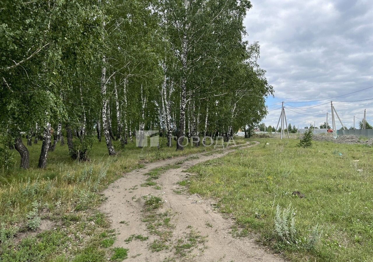 земля г Новосибирск р-н Октябрьский Золотая Нива снт Спутник ул Ягодная фото 7